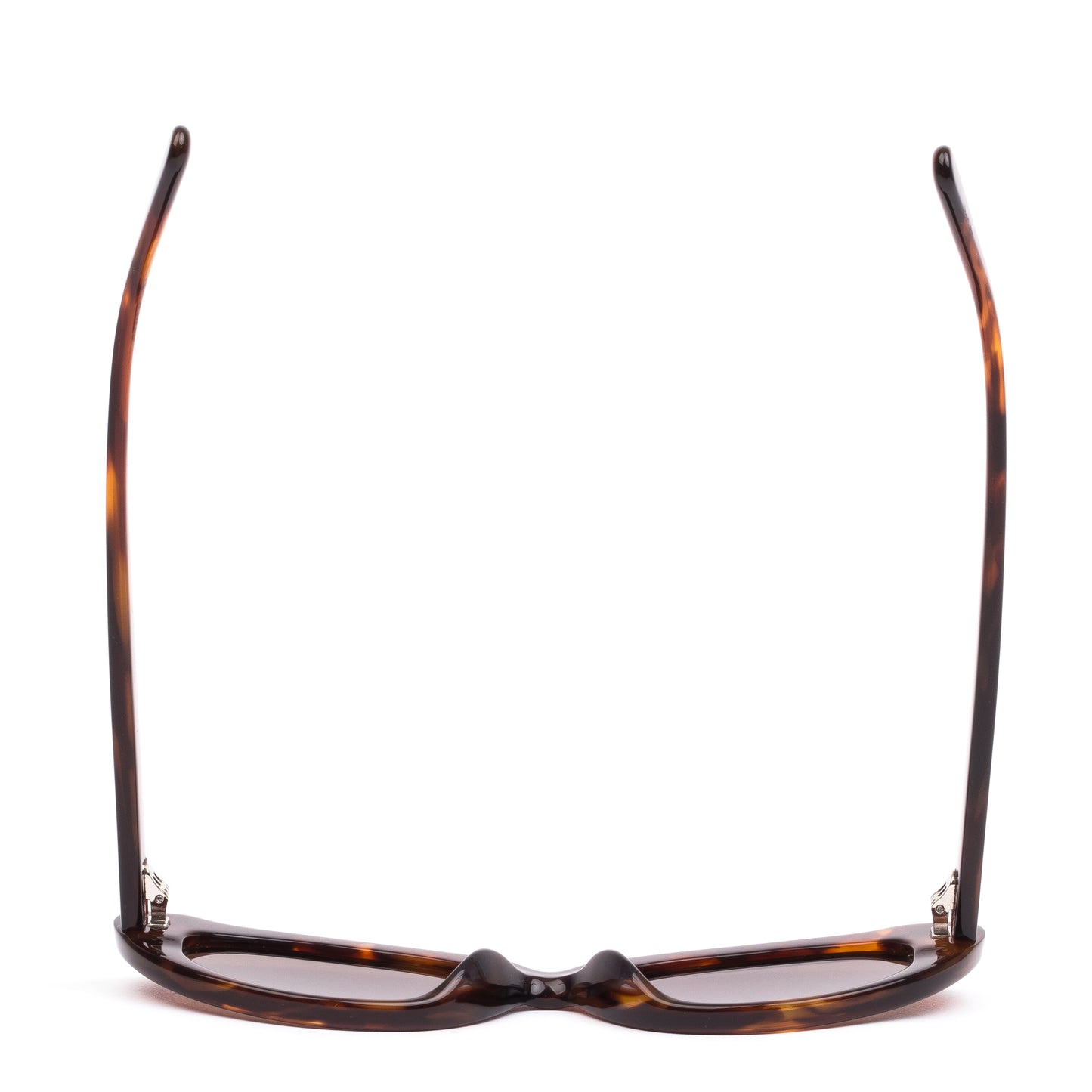 SITO - Siena Burnt Orange Tort/Coffee