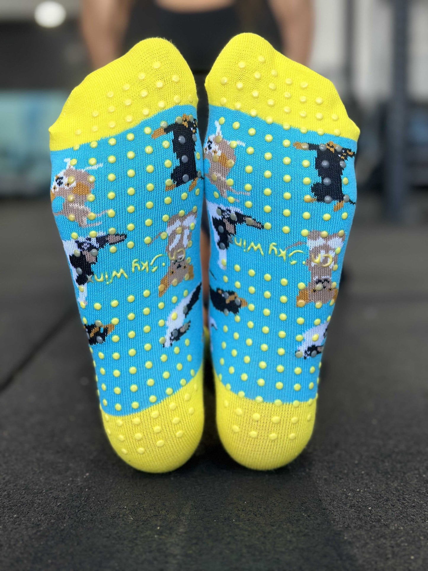 CHEEKY WINX - Grippy Yoga Pups Socks